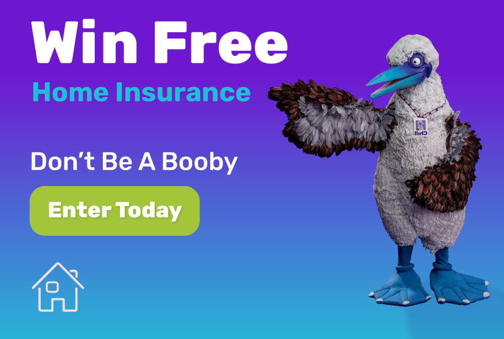 win-insurance