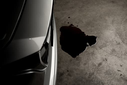car oil leak