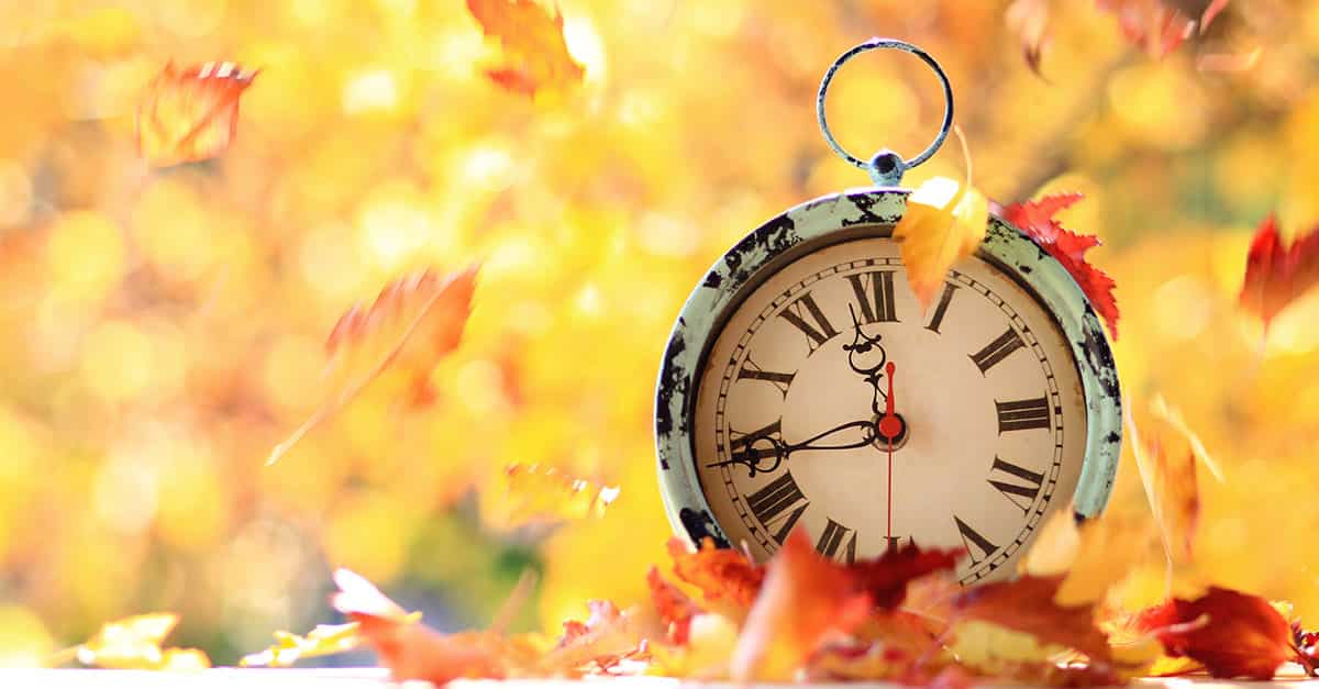 Stopwatch in Autumn Leaves