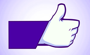 Facebook Like