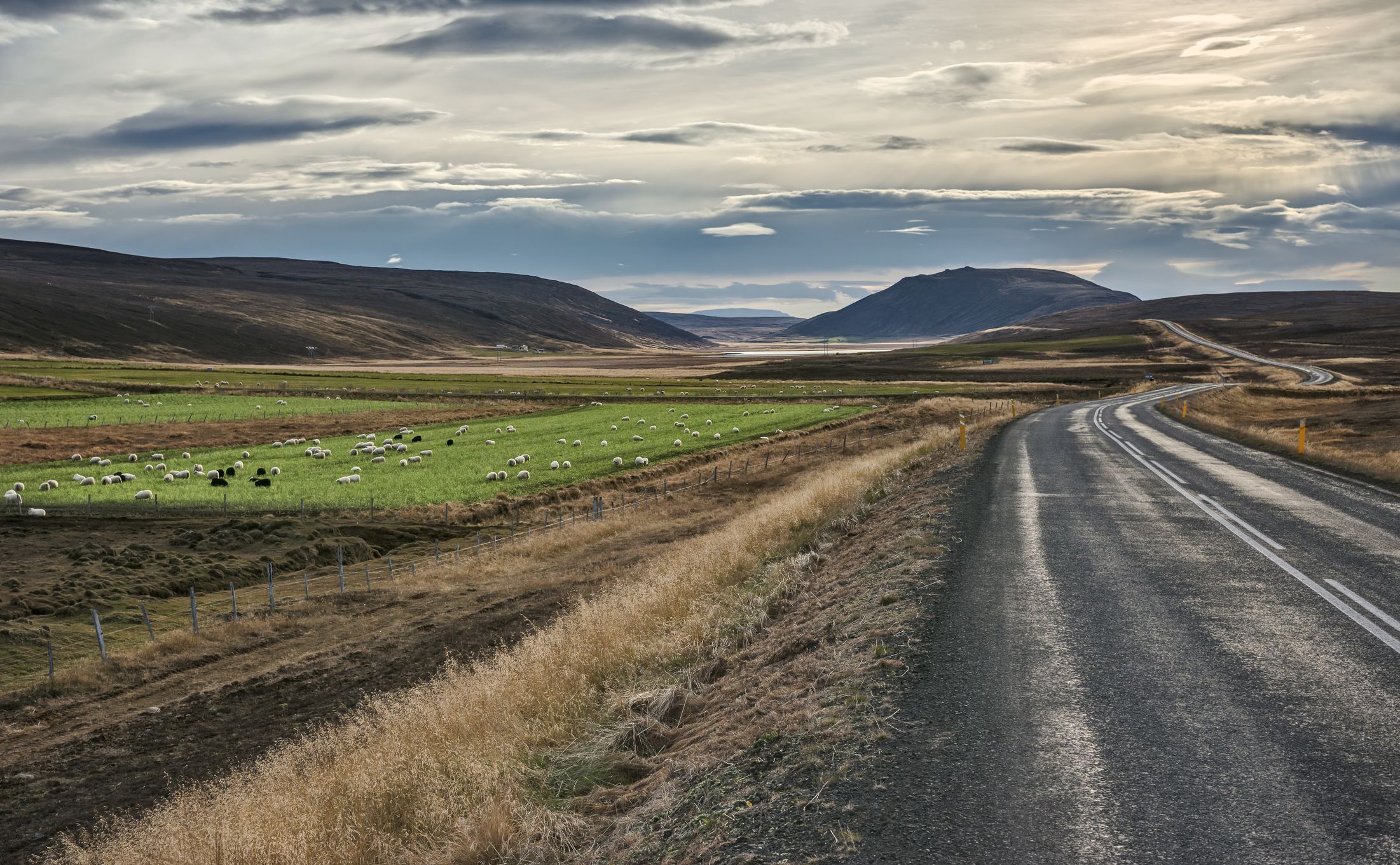 iceland_road