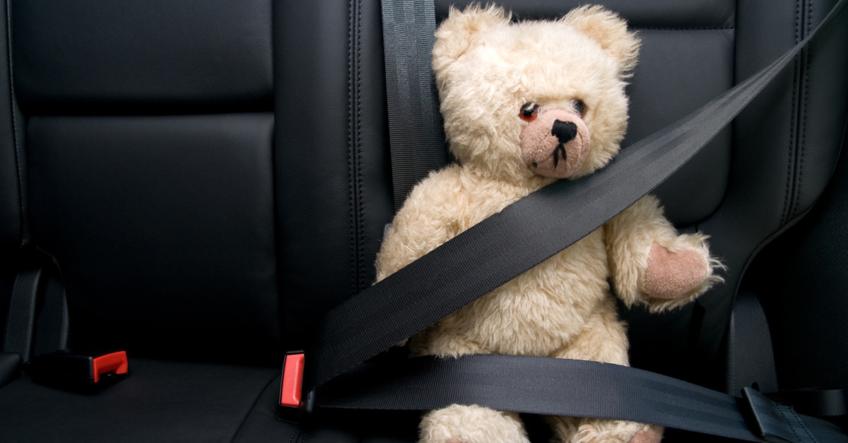 teddy driving shoe