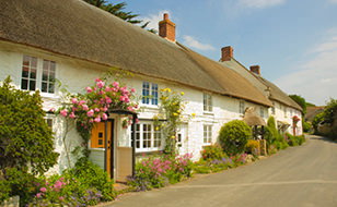 Row of Thatched Houses