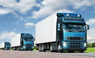 Motor Fleet