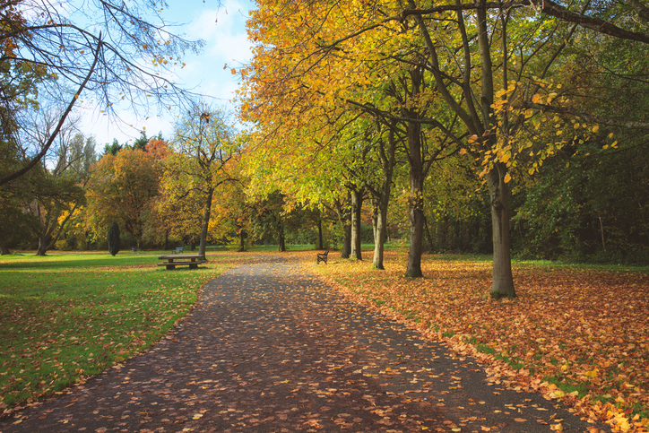 walking down an autumn path