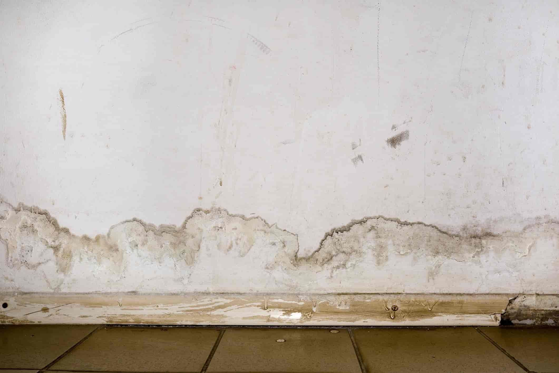 How To Treat Damp Walls In Your Home | Chill
